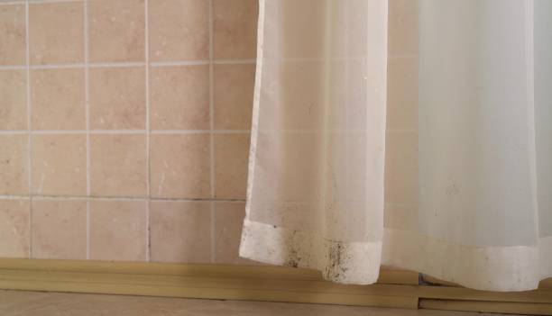 Best Biohazard Mold Removal  in Orchard City, CO