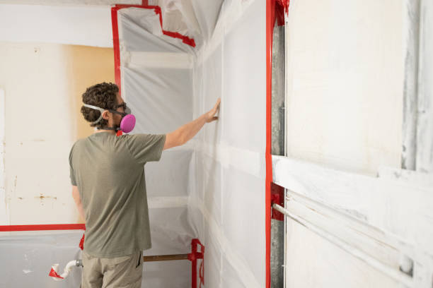 Best Mold Remediation for Healthcare Facilities  in Orchard City, CO