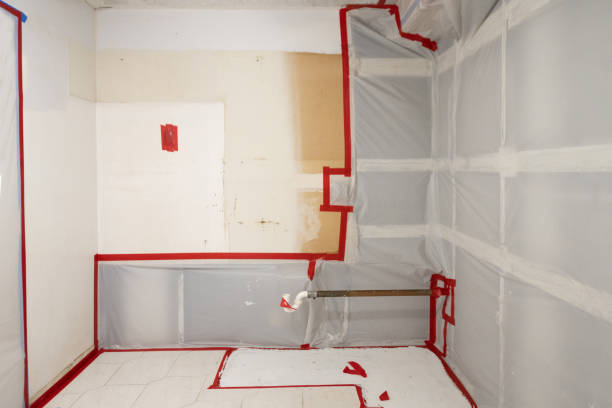 Best Industrial Mold Remediation  in Orchard City, CO