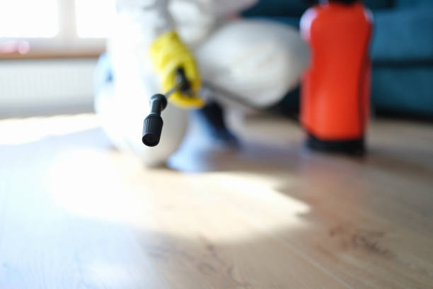 Reliable Orchard City, CO Mold Removal Solutions